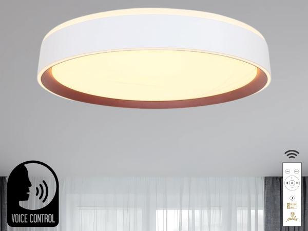 LED lámpa OPAL + távirányító + HANGVEZÉRLÉS 48W - LC902MV 1