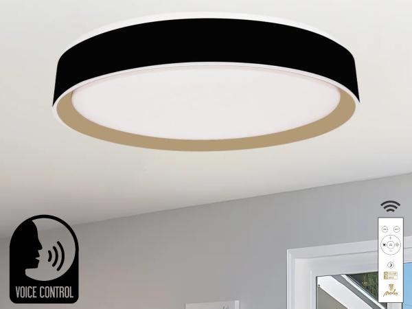 LED mennyezeti lámpa OPÁL + távvezérlő + HANGVEZÉRLÉS 48W - LC902MBV