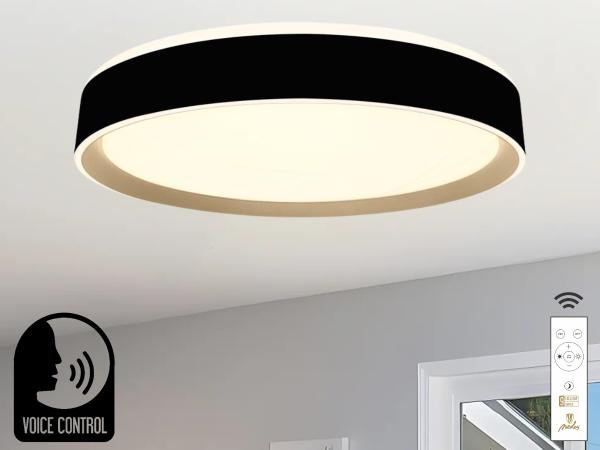 LED mennyezeti lámpa OPÁL + távvezérlő + HANGVEZÉRLÉS 48W - LC902MBV 1