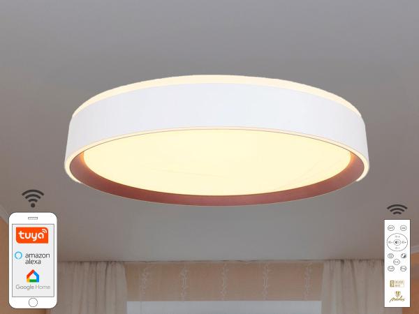 LED mennyezeti lámpa OPÁL + távvezérlő + Wifi 48W - LC902M 1