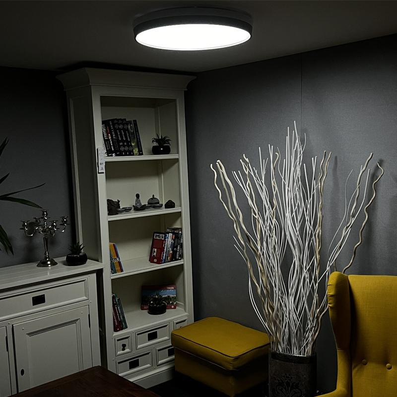 LED mennyezeti lámpa OPAL + távirányító + Wifi 48W - LC902I 4